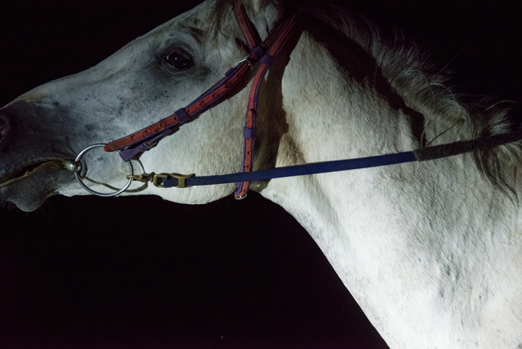 javascript slidephoto